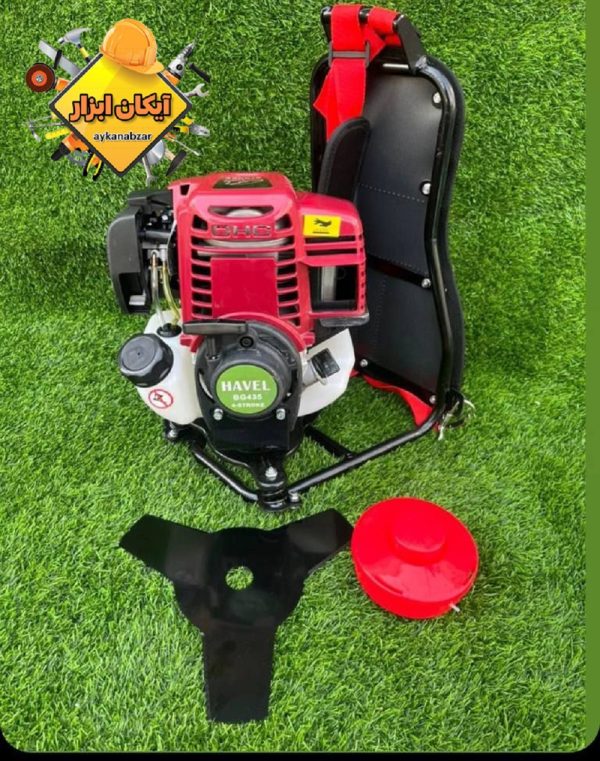 علف زن چهار زمانه